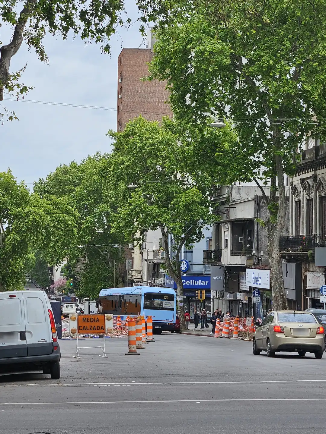 A Montevideo avenue under plane trees, half its roadway closed by a row of orange-and-white cones and a works sign; a pale-blue bus in the distance, a white van parked on the left and a car in the open half on the right.