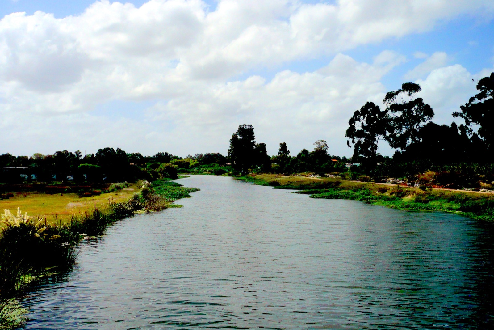 Arroyo Carrasco