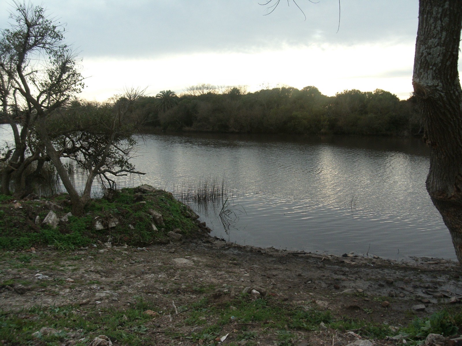 Arroyo de las Vacas